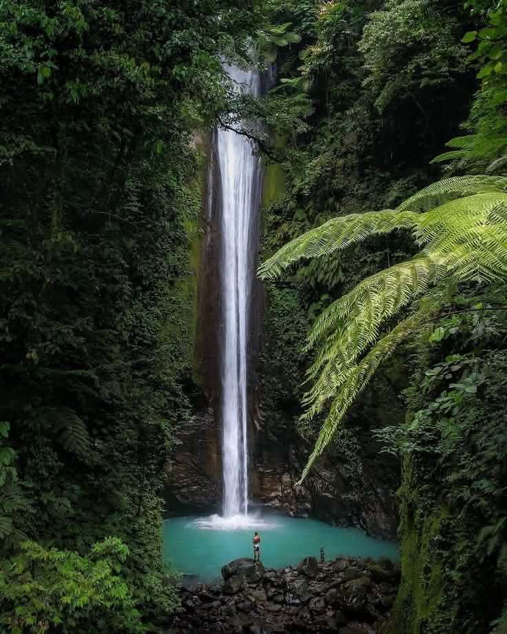 Paraiso sa Negros Oriental